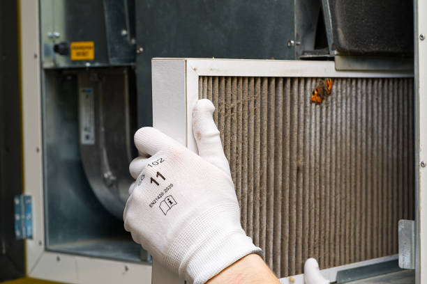 Best Local Air Duct Cleaning Services  in Stoneville, NC