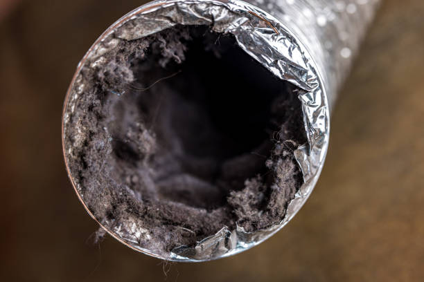Best HVAC System Cleaning  in Stoneville, NC
