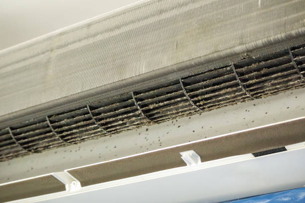 Best HVAC Air Duct Cleaning  in Stoneville, NC